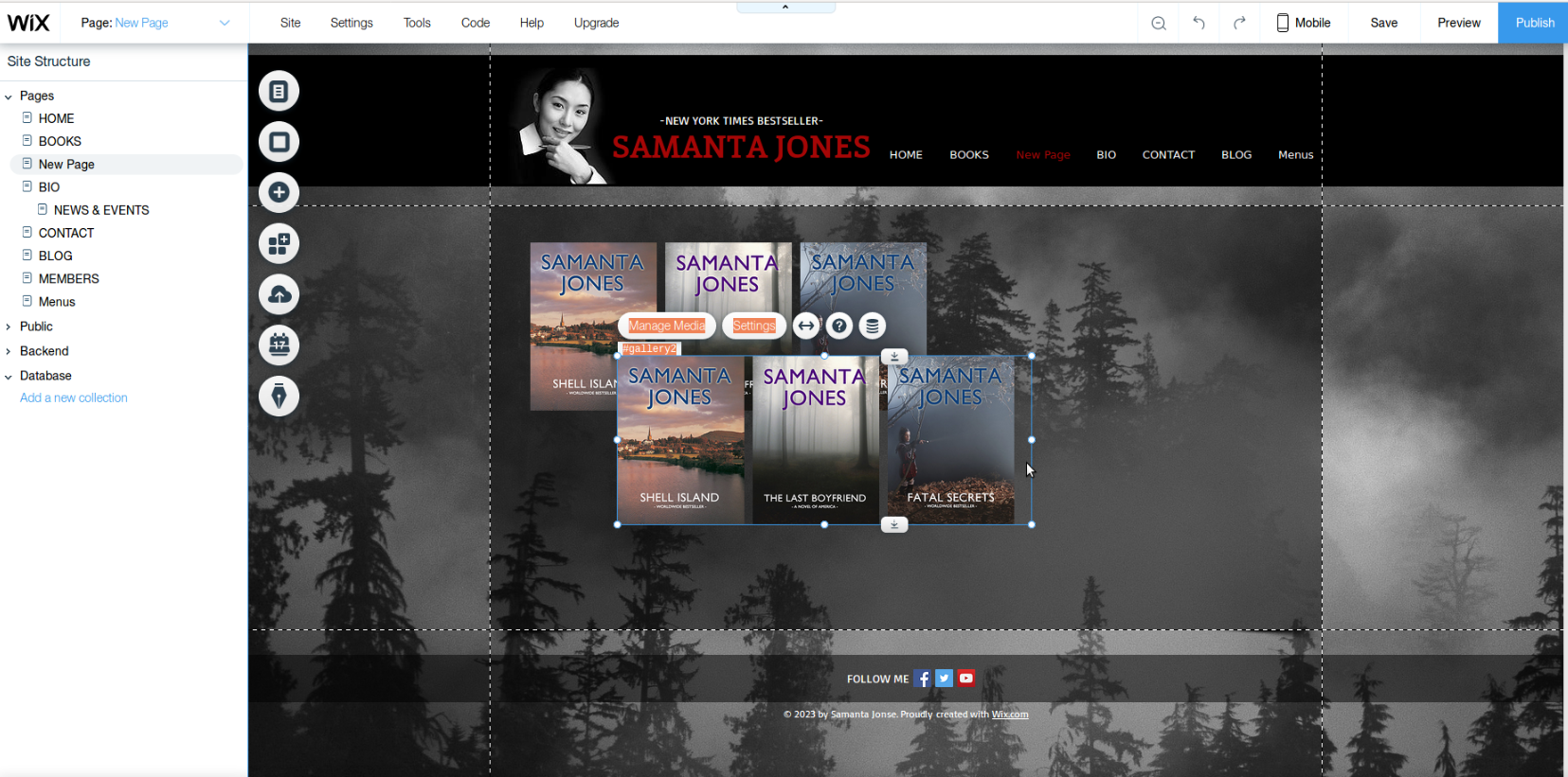 author website wix