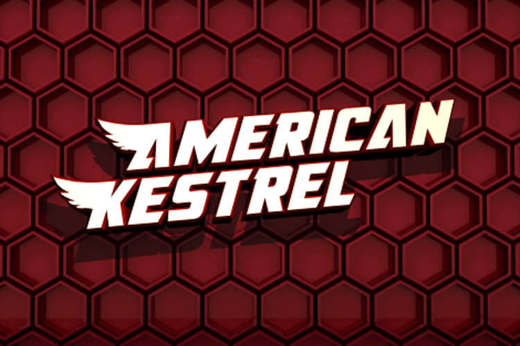 american kestrel superhero font