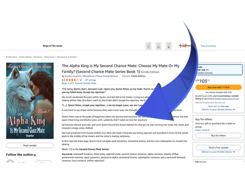 Blurb on Amazon
