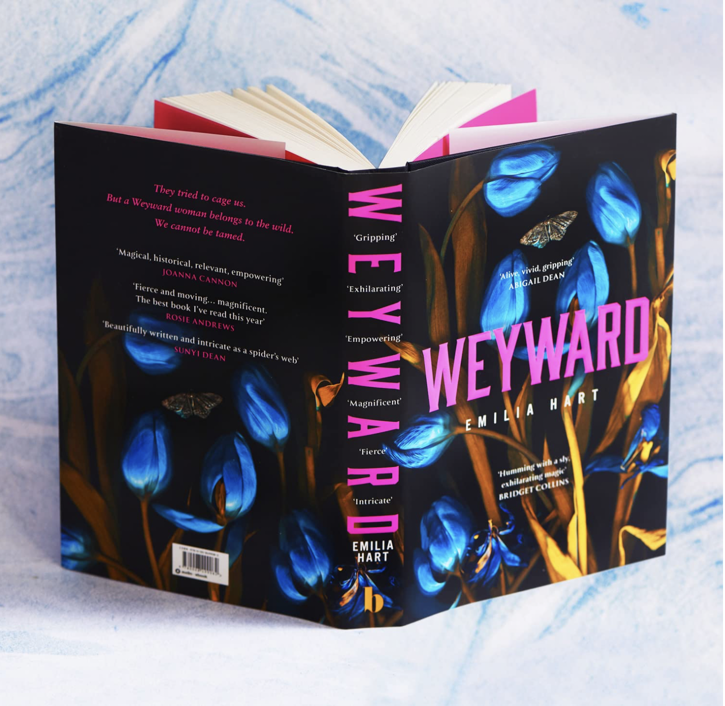 blurb example emilia hart, weyword