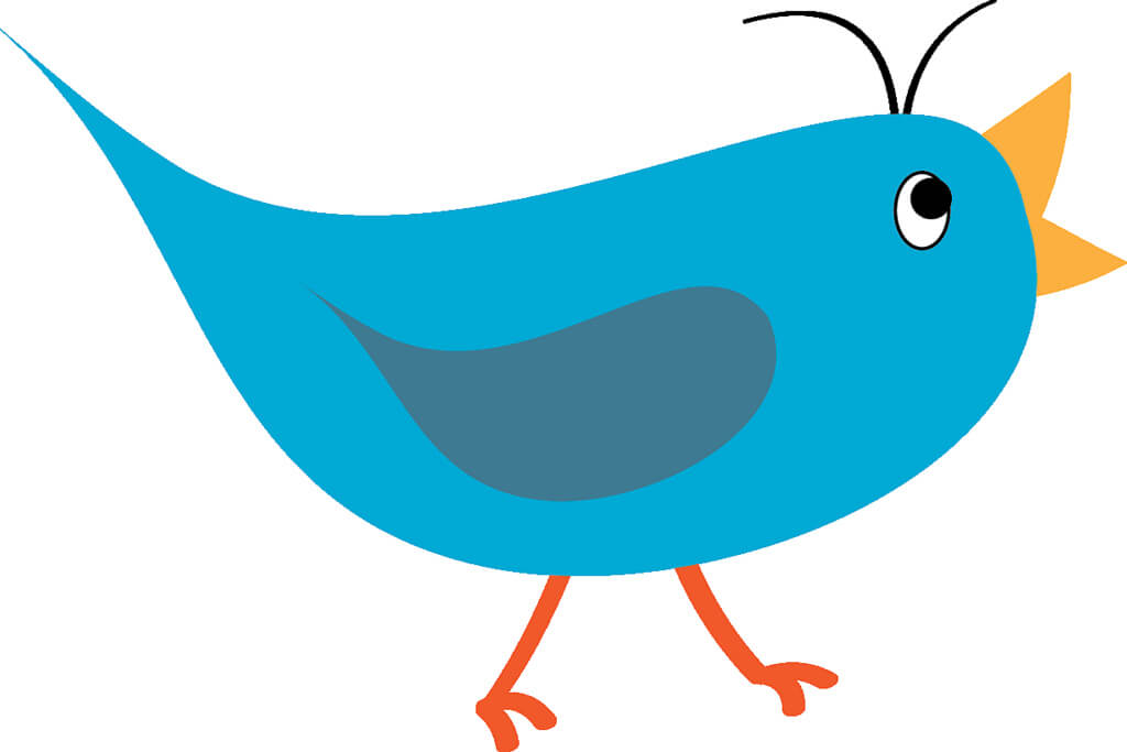 Get-reviews-Twitter-bird
