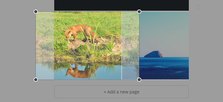 create ebook cover with canva