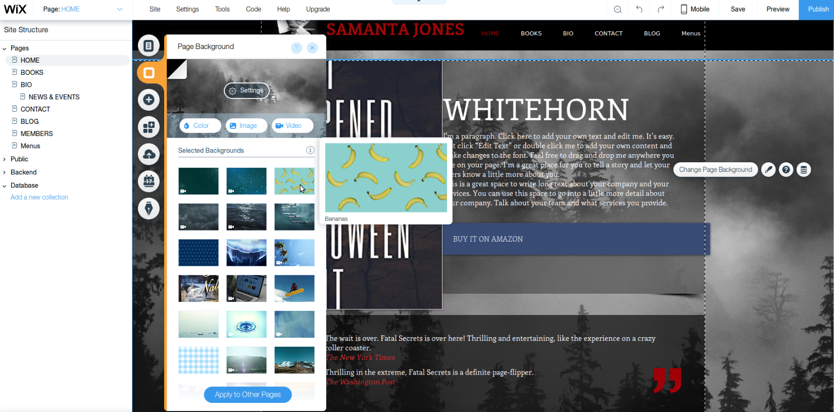 author website wix